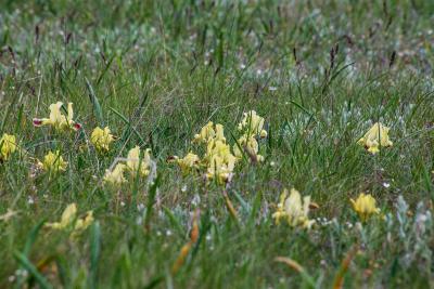 Прикрепленное изображение: IMG_4390.jpg